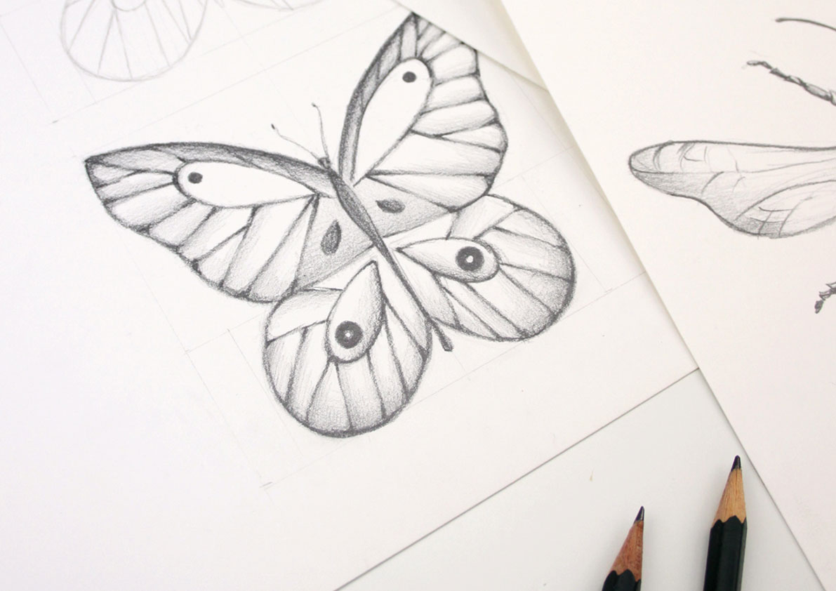 Calígrafo siglo Dedos de los pies Cómo dibujar una mariposa - Almu Ruiz