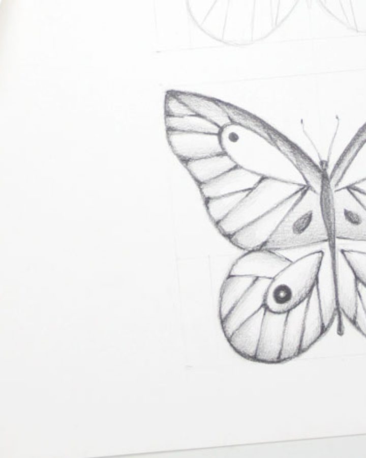 Cómo dibujar una mariposa